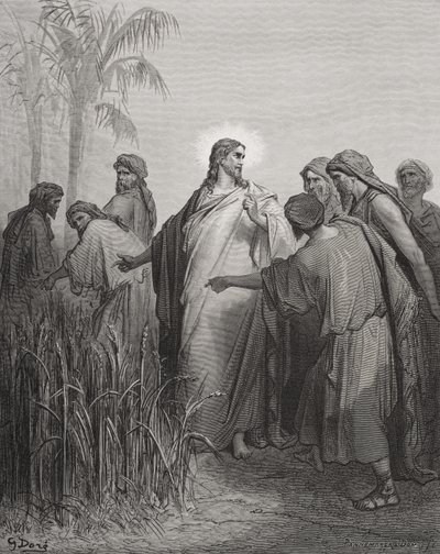 Gesù e i Suoi Discepoli nel Campo di Grano, illustrazione da 