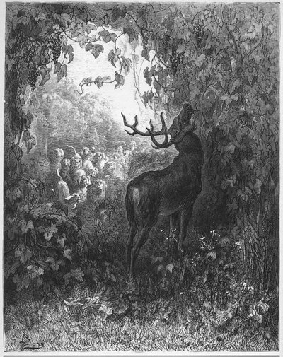 Il cervo e la vite - da "Favole" di Jean de La Fontaine da Gustave Dore