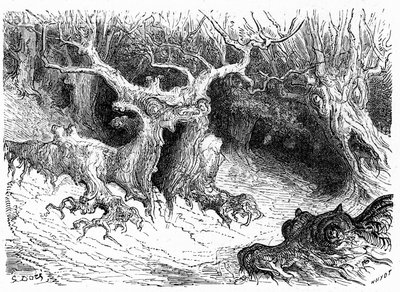 Faggio mostruoso nella Valle di Ossau, alberi mostruosi antropomorfi. Incisione di Gustave Doré che illustra il libro 