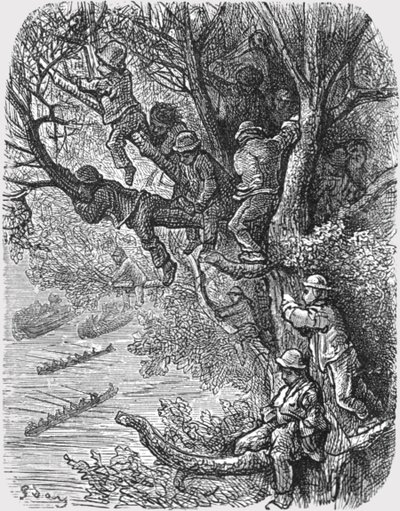 Appollaiato sugli alberi, 1872 da Gustave Dore