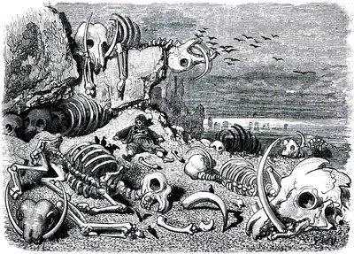 Sindbad il marinaio - racconto delle mille e una notte - illustrazione di Gustave Doré - edizione Maxwell 1865 - Settimo e ultimo viaggio: il cimitero degli elefanti dove Sindbad recupererà le zanne d
