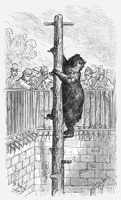 La Fossa degli Orsi - Giardini Zoologici da Gustave Dore