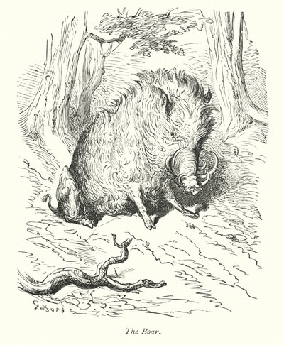 Il cinghiale (incisione) da Gustave Dore