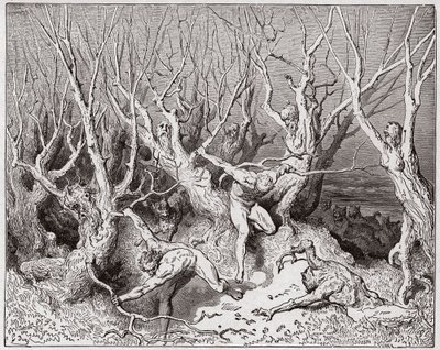 La Divina Commedia, Inferno, Canto 13: I suicidi fuggono dalla foresta - di Dante Alighieri (1265-1321) - Illustrazione di Gustave Dore (1832-1883) da Gustave Dore
