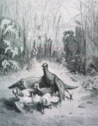 La favola dell