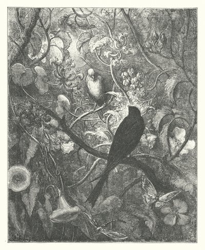 Le favole di La Fontaine: Filomela e Progne da Gustave Dore