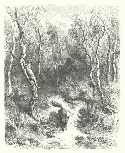 Le favole di La Fontaine: Il gatto e la volpe (incisione) da Gustave Dore