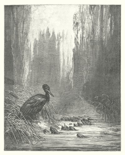 Le favole di La Fontaine: Il cormorano e i pesci da Gustave Dore