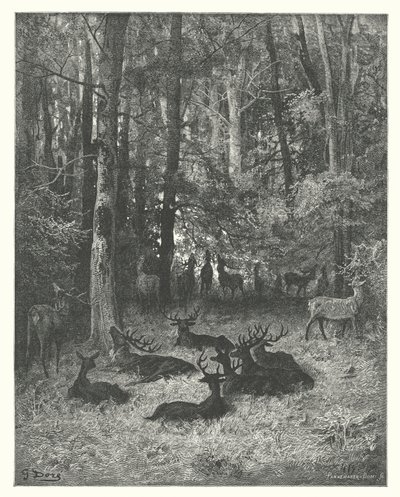 Le favole di La Fontaine: Il cervo malato (incisione) da Gustave Dore