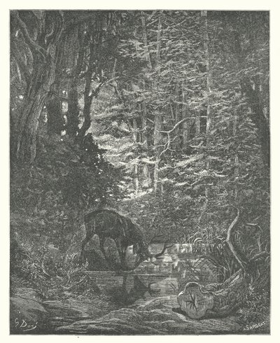 Le favole di La Fontaine: Il cervo che si guarda nel ruscello da Gustave Dore