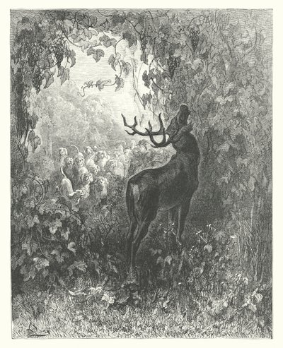 Le favole di La Fontaine: Il cervo e la vite da Gustave Dore