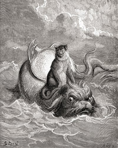 La scimmia e il delfino dopo un