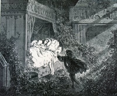 Il principe entra nella camera della principessa nel castello incantato, illustrazione per 