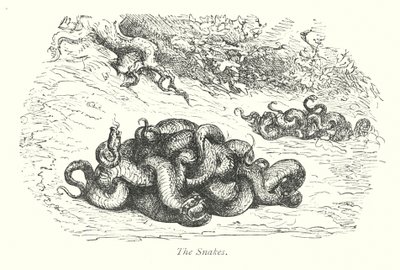 I serpenti (incisione) da Gustave Dore