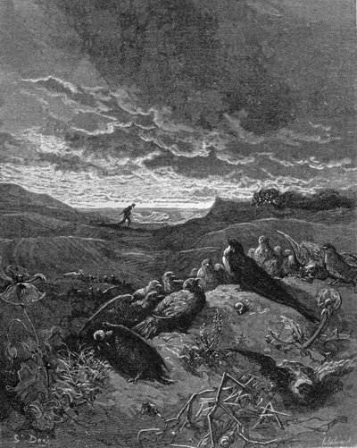 La rondine e gli uccelli, illustrazione da 