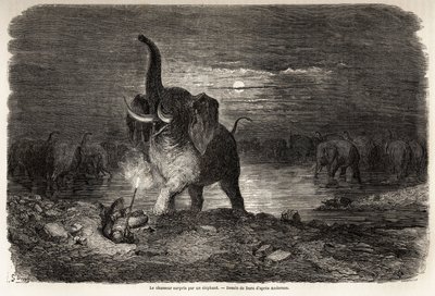 Il cacciatore sorpreso da un elefante, vicino al Lago Ngami, disegno di Gustave Doré, per illustrare le avventure e le cacce di Charles Jean Anderson nell