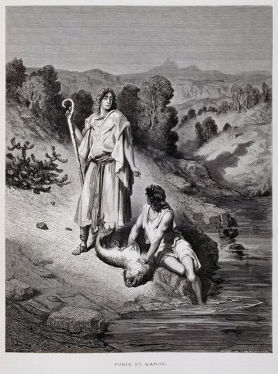 Tobia e l