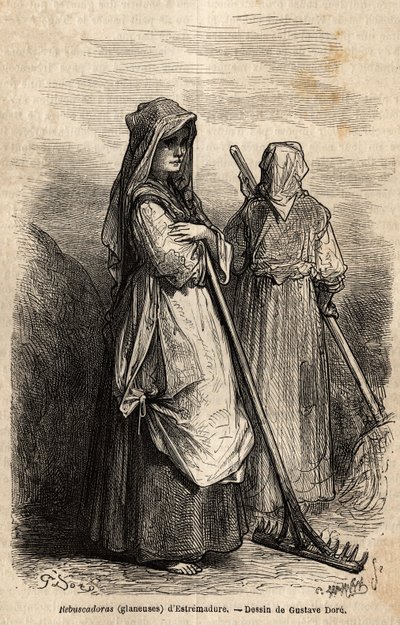 Le spigolatrici dell