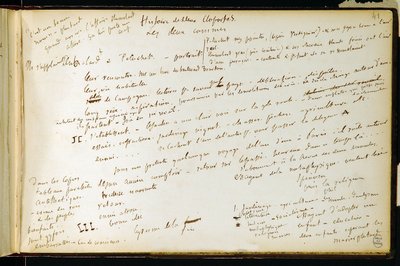 Folio 41 del quaderno n. 19 Pagina manoscritta delle bozze di Gustave Flaubert. Piani per Bouvard e Pecuchet. BHVP da Gustave Flaubert