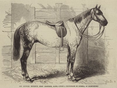 Il cavallo grigio di Sir George Brown, Alma da Gustave Janet