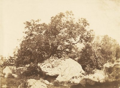 Boulder di Cabat, incrocio di Epine Foresta di Fontainebleau da Gustave Le Gray