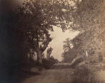 Fontainebleau, sentiero sabbioso in salita da Gustave Le Gray