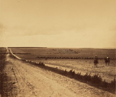 [Manovre, Campo di Chalons]. da Gustave Le Gray