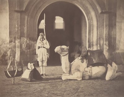[Soldato e cammello militare], 1866 da Gustave Le Gray