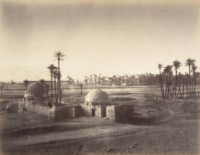 Veduta della Piana di Tebe presa dal tempio di Karnak da Gustave Le Gray