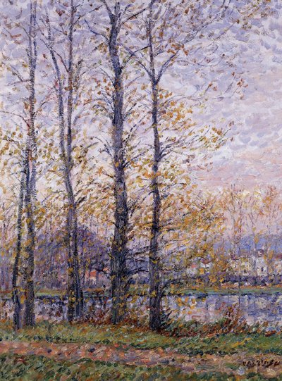 Le Rive dell