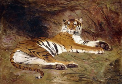 Una tigre sdraiata da Gustave Surand