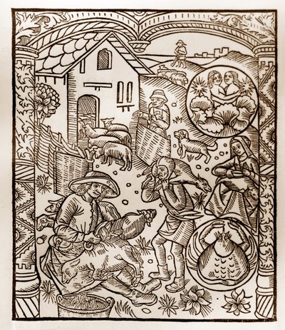 Calendario del pastore - I lavori dei mesi - Giugno - Xilografia dal libro del 1496 stampato da Guy Marchant (Guido Mercator) a Troyes - Incisione su legno in 