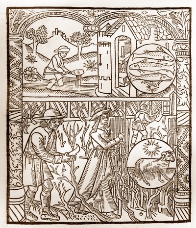 Calendario del pastore - I lavori dei mesi - Marzo - Xilografia dal libro del 1496 stampato da Guy Marchant (Guido Mercator) a Troyes - Incisione su legno in 