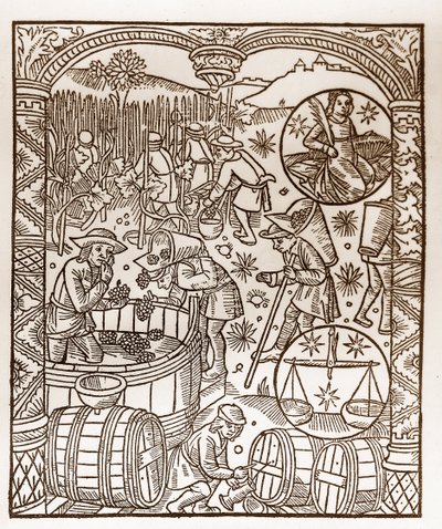 Calendario del pastore - I lavori dei mesi - Ottobre - Xilografia dal libro del 1496 stampato da Guy Marchant (Guido Mercator) a Troyes - Incisione su legno in 