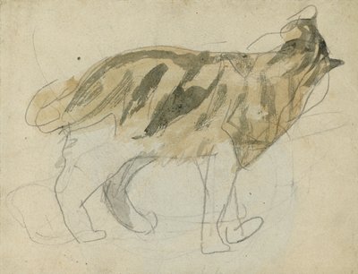 Studi di gatti da Gwen John