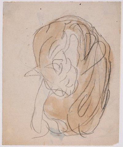 Studi di gatti da Gwen John