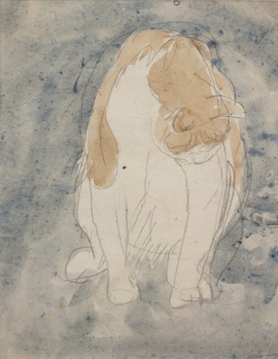 Studio di un gatto, 1910-20 circa (acquerello e matita di grafite su carta) da Gwen John