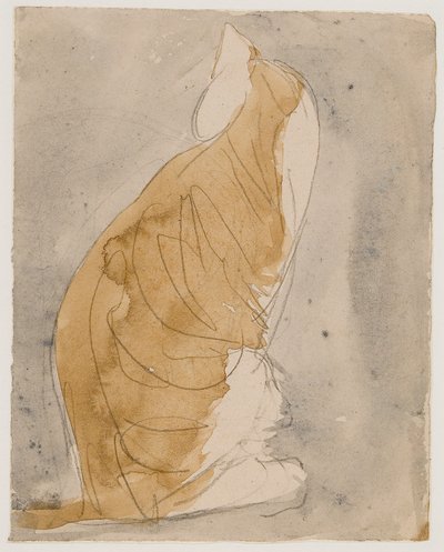 Studio di un gatto da Gwen John