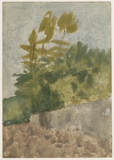 Alberi da Gwen John