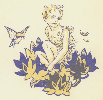 Peter Pan e Wendy: Peter Pan da Gwynedd M. Hudson