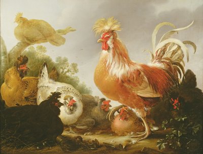 Gallo e galline in un paesaggio, 1649 da Gysbert Hondecoeter