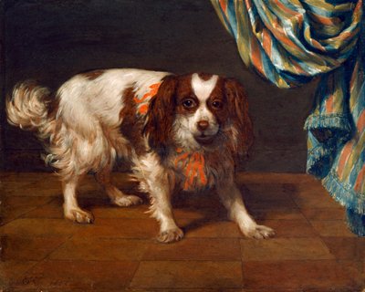 Un cane King Charles Spaniel da Gysbert van de Kuyl
