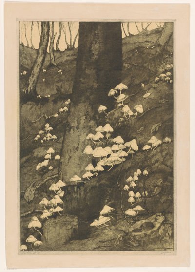 Funghi in un bosco (Herfst) da H.C. Spruit (signed by artist)