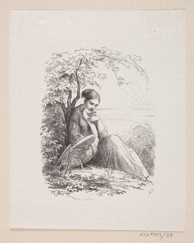 Illustrazione per "I cigni selvatici" in H.C. Andersen, "Fiabe e storie", Volume 1 da H.P. Hansen