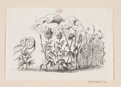 Illustrazione per "I fiori della piccola Ida" in H.C. Andersen, "Fiabe e storie", Volume 1 da H.P. Hansen