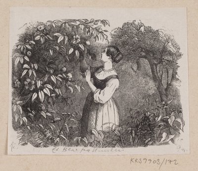 Illustrazione per "Una foglia dal cielo" in H.C. Andersen, "Fiabe e Storie", Volume 2 da H.P. Hansen
