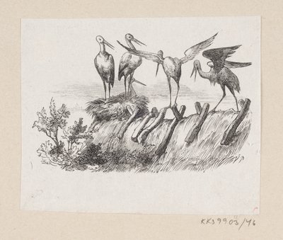 Illustrazione per "Le Cicogne" in H.C. Andersen, "Fiabe e Storie", Volume 1 da H.P. Hansen