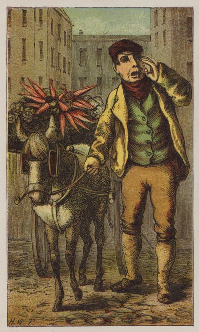 Venditore ambulante da H.W. (after) Petherick