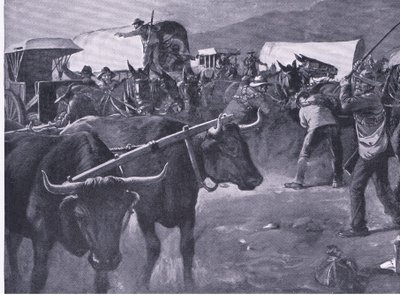 Un inspan frettoloso, illustrazione da After Pretoria: The Guerilla War, 1902 da H. Dixon