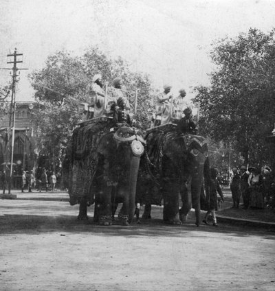 Una principessa punjabi su un elefante in una processione, Delhi, India, anni 1900 da H. Hands and Son